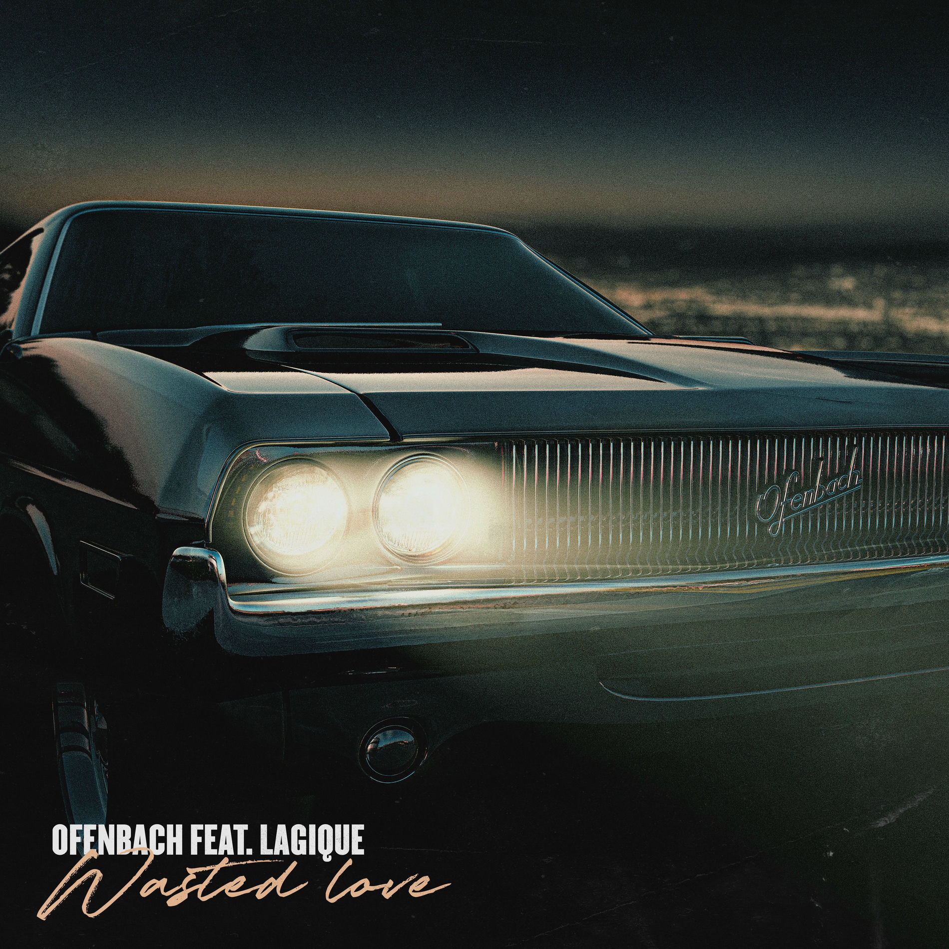 Album picture of Wasted Love (feat. Lagique)