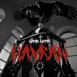 Cover of Havran