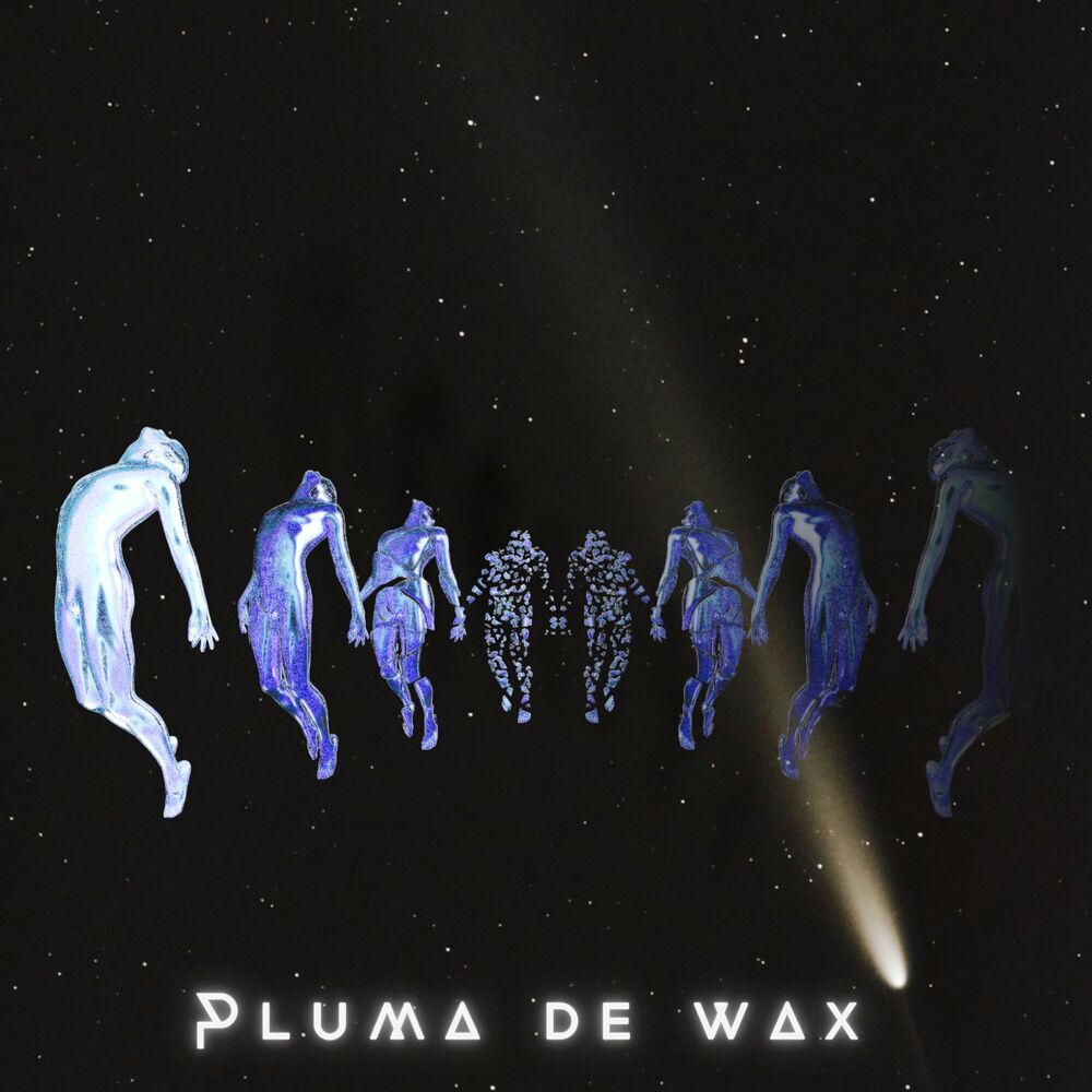 Picture of Pluma De Wax