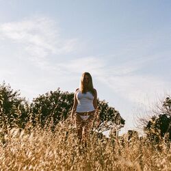 Cover of Daydreaming