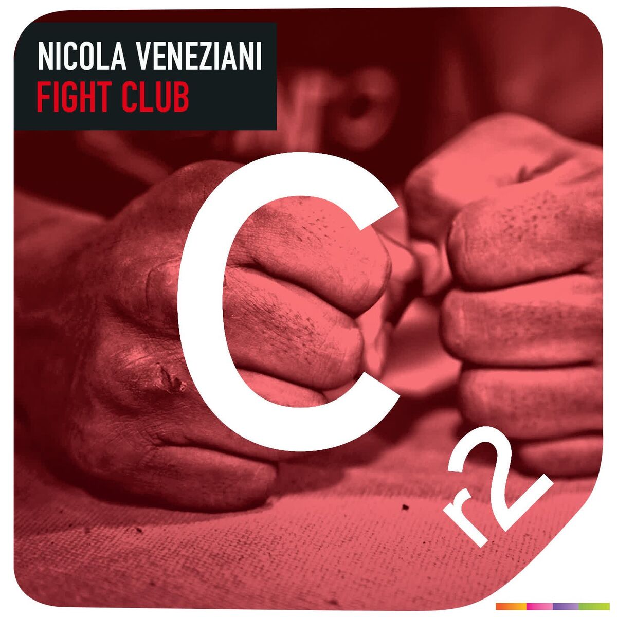 Album cover of Fight Club