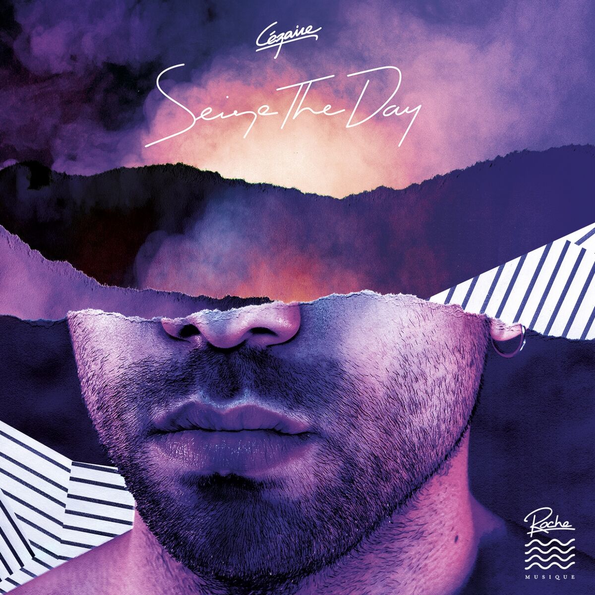 Album cover of Purple Night