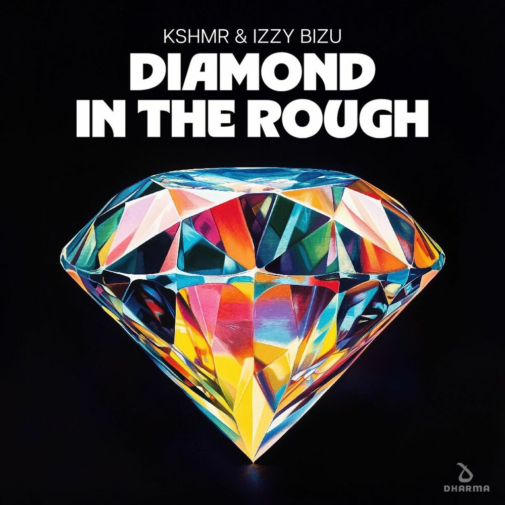 Picture of Diamond In The Rough