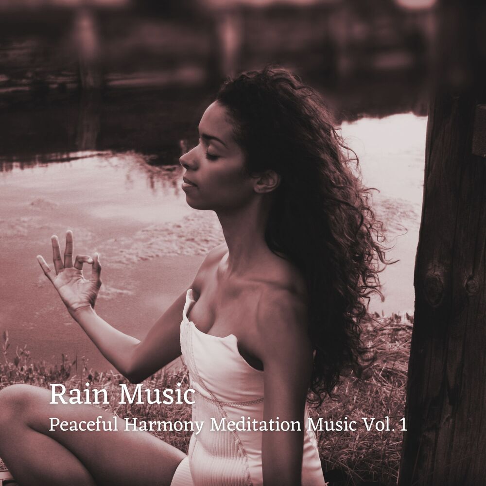 Picture of Rain Music: Peaceful Harmony Meditation Music Vol. 1