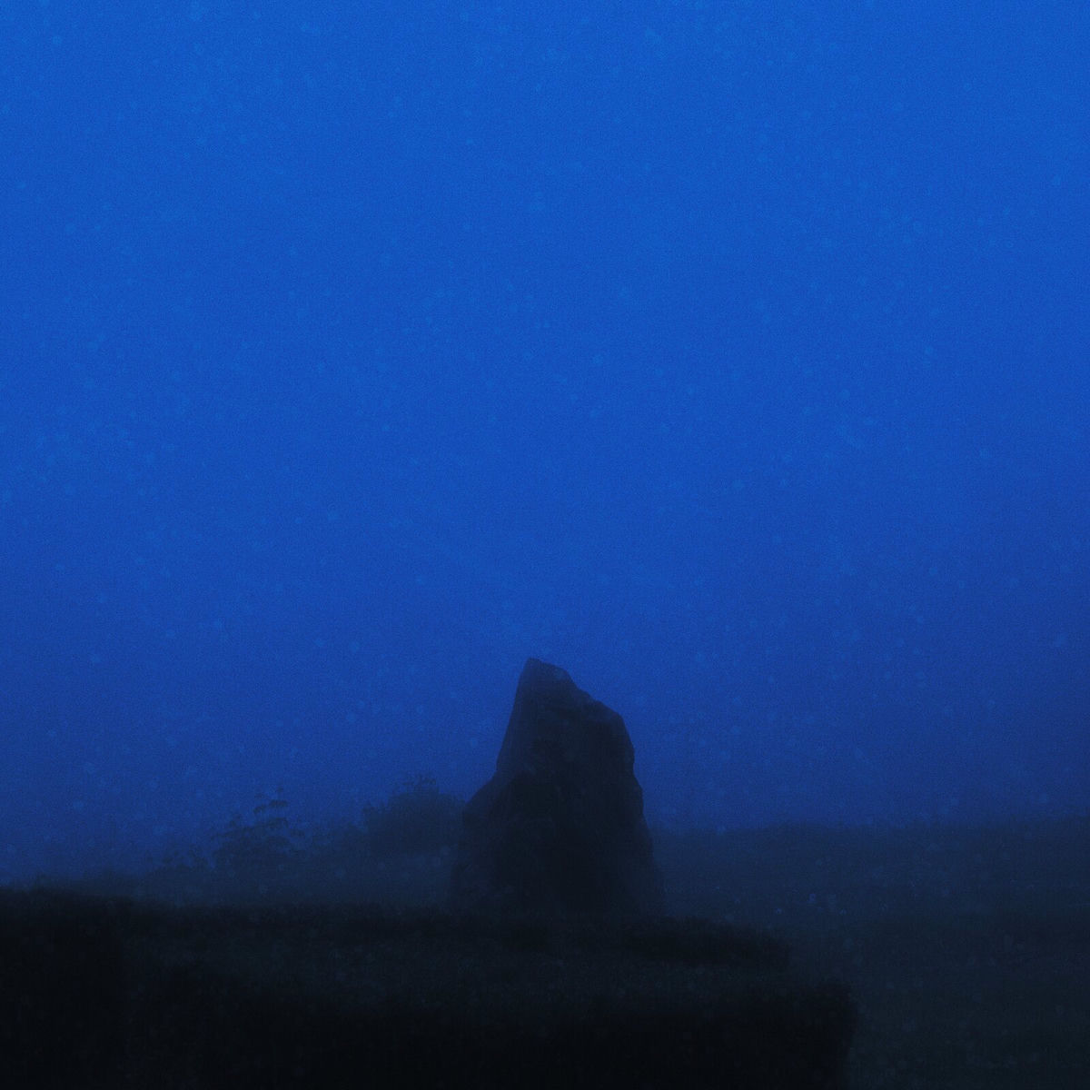 Album cover of Dreams of a Lost Soul
