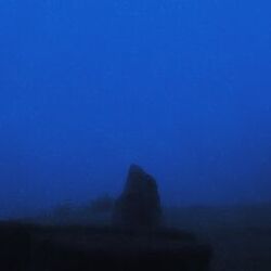 Dreams of a Lost Soul