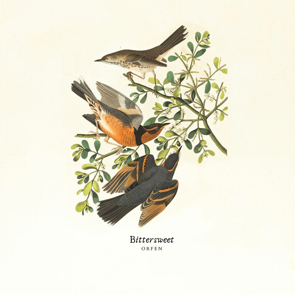 Picture of Bittersweet