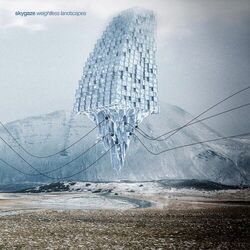 Cover of Weightless Landscapes