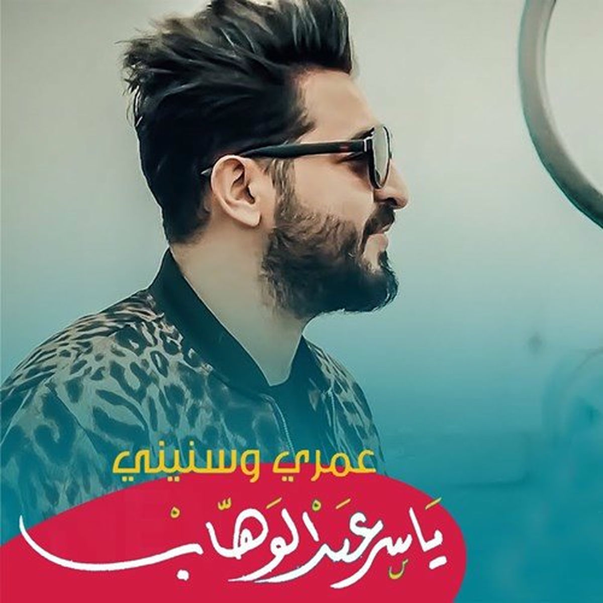 Album cover of عمري وسنيني