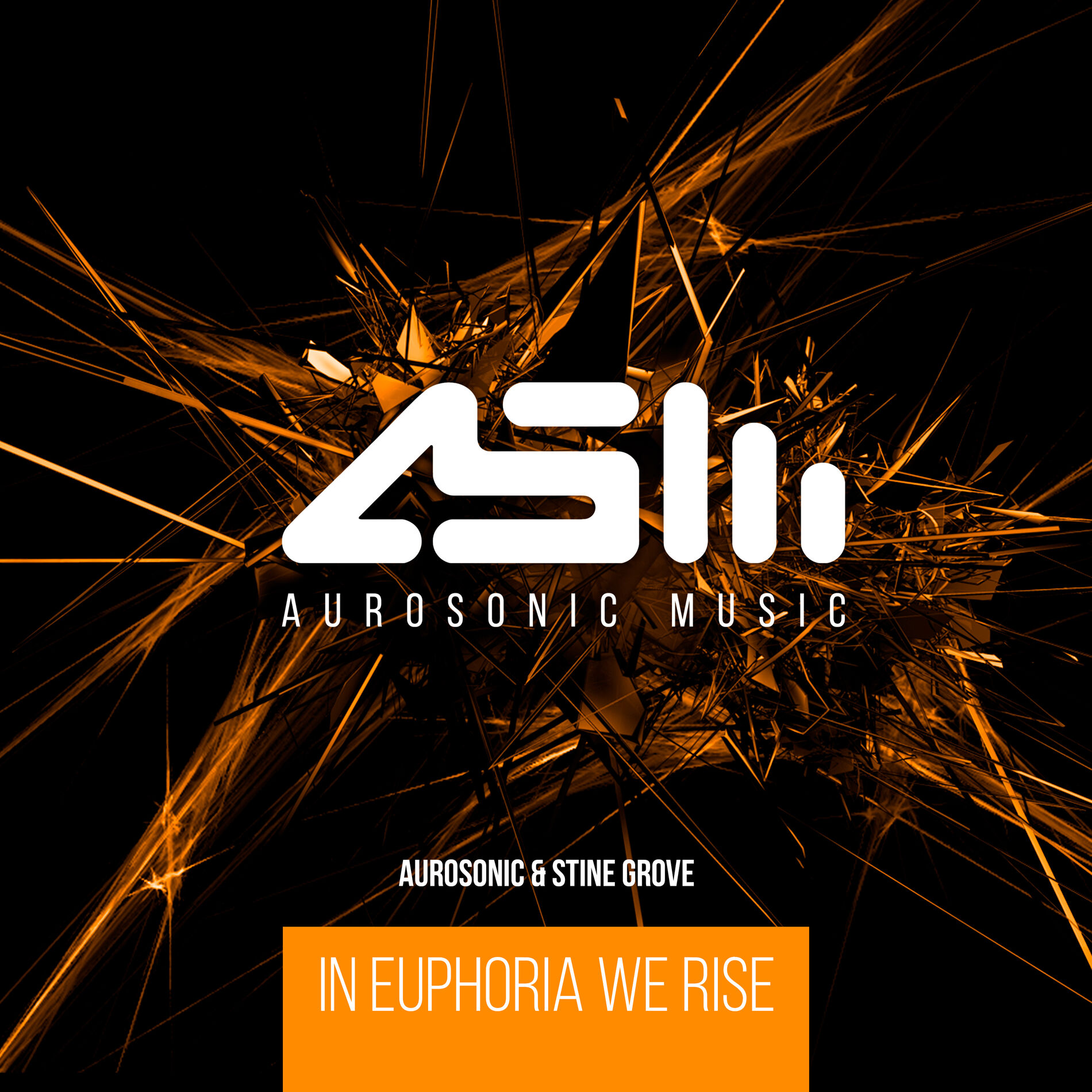 Album cover of In Euphoria We Rise