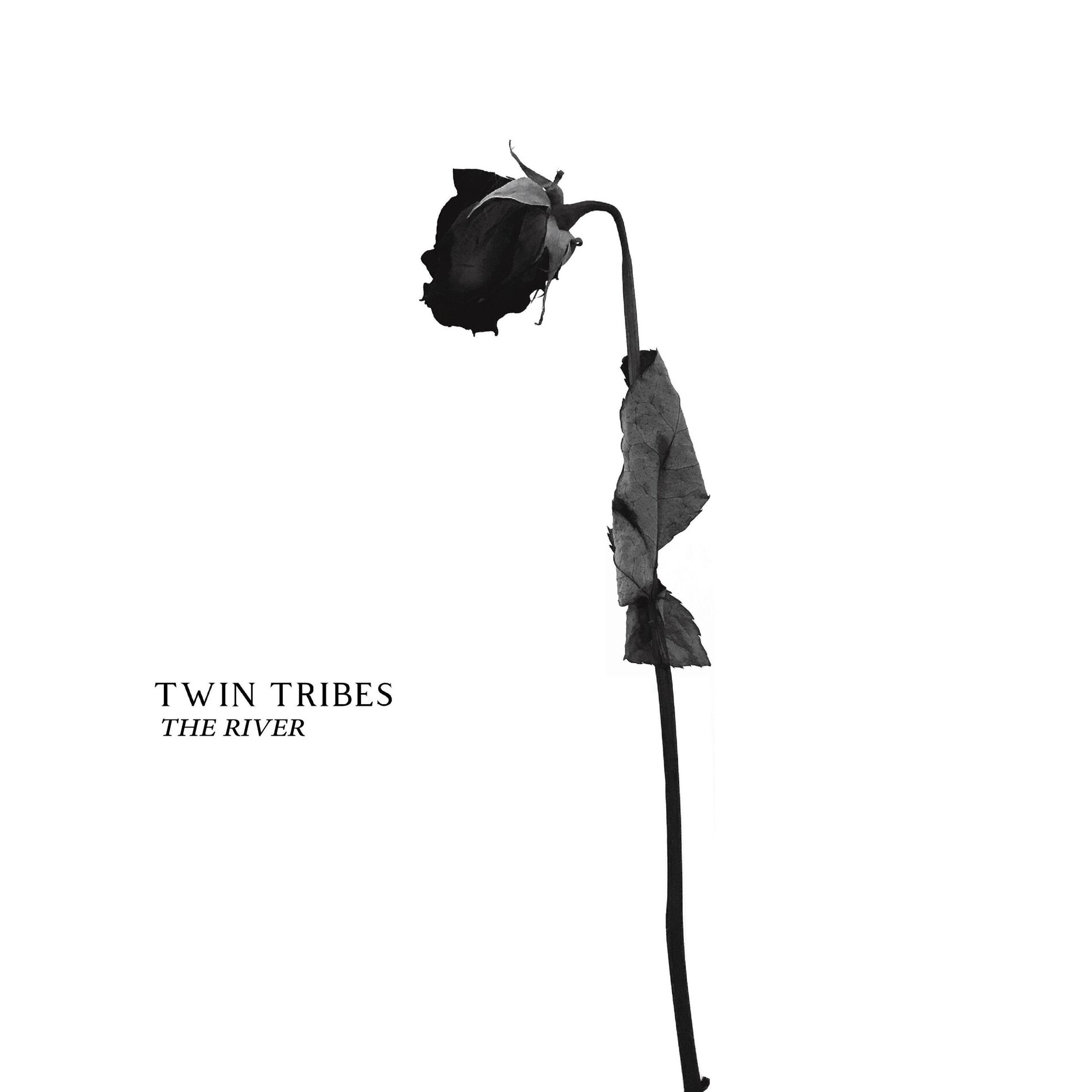 Album cover of The River