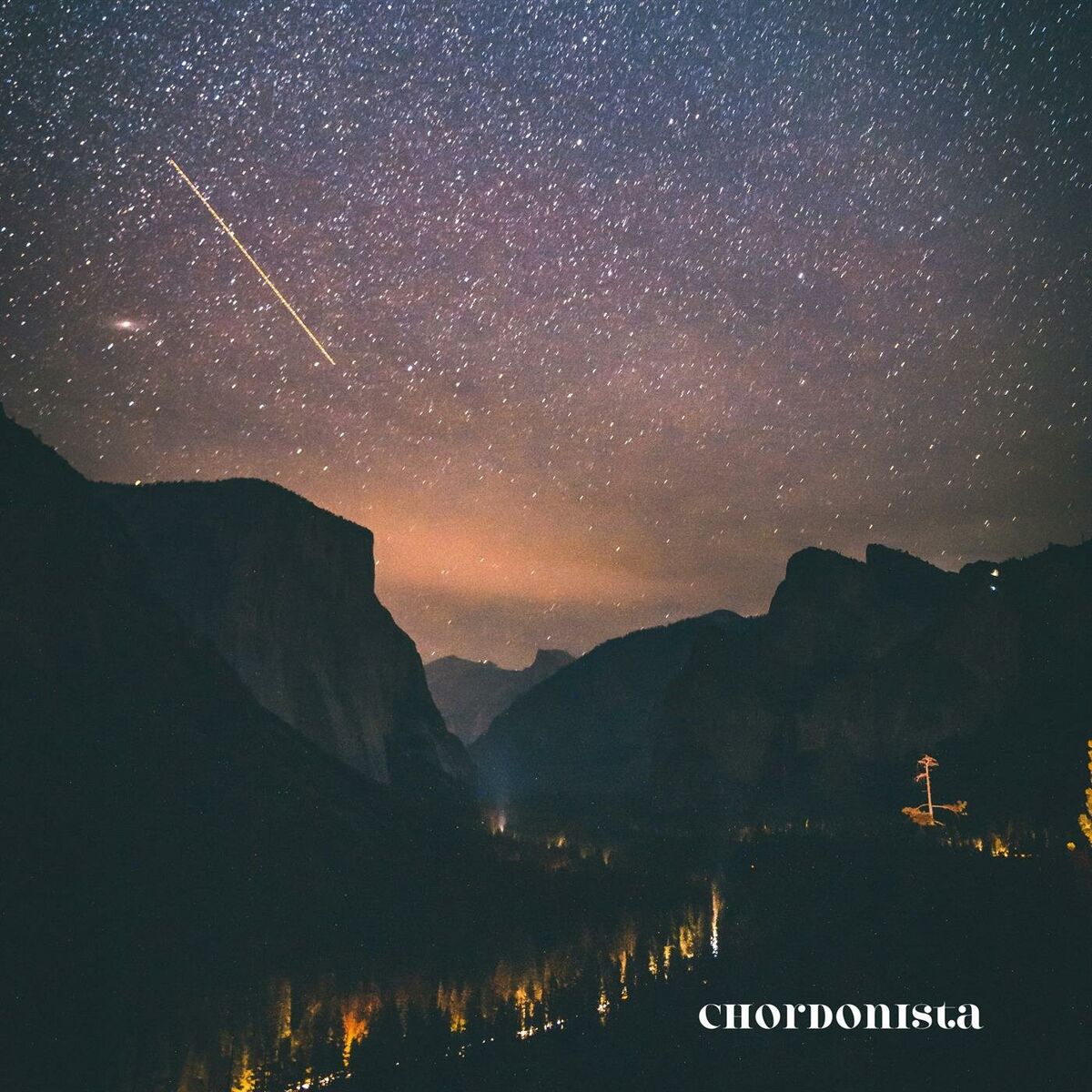 Album cover of Chordonista