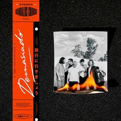 Cover of Demasiado