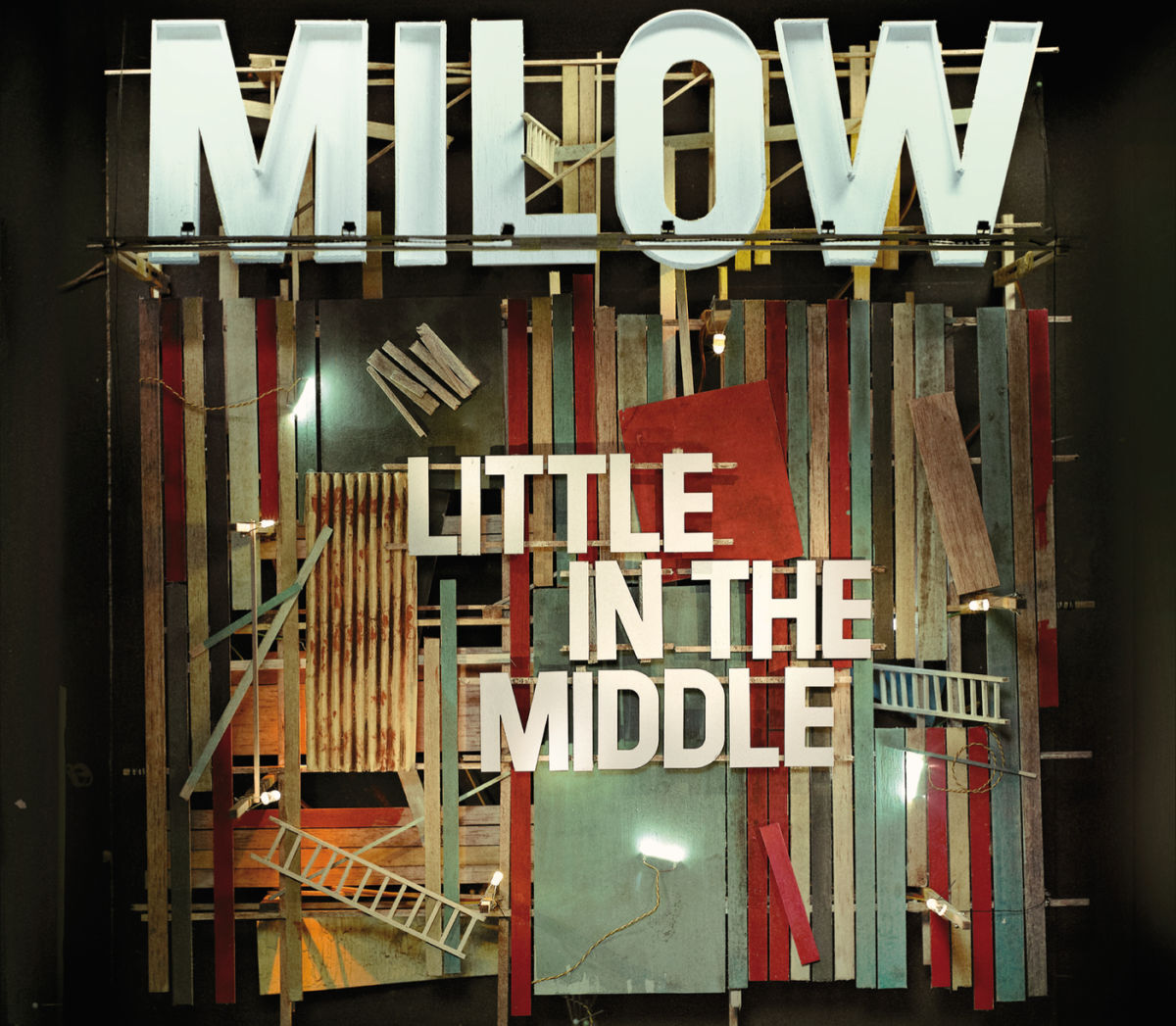 Album cover of Little In The Middle