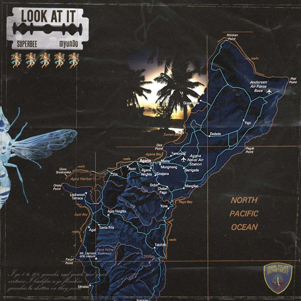 Picture of Look At It