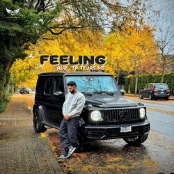 Cover of FEELING