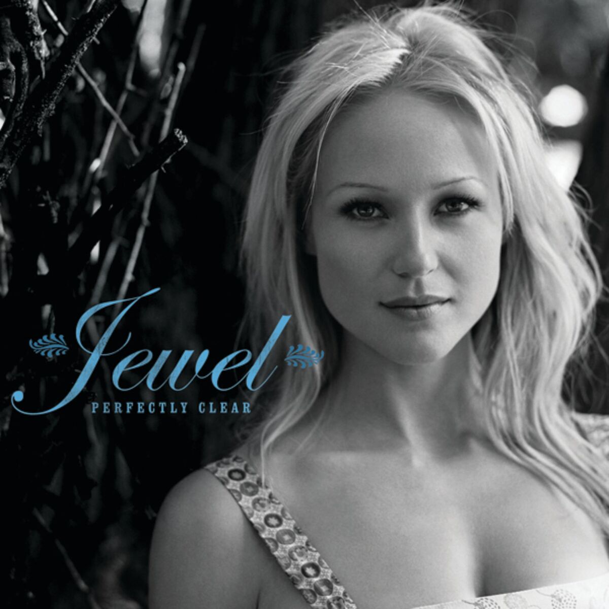 Album cover of Perfectly Clear