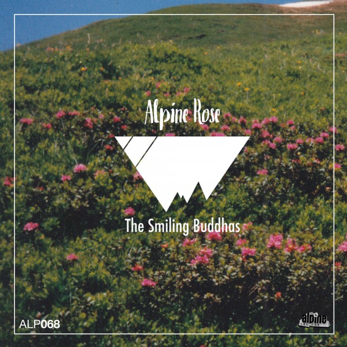 Album cover of Alpine Rose