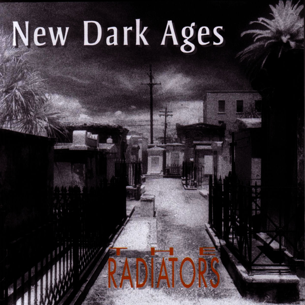 Album cover of New Dark Ages