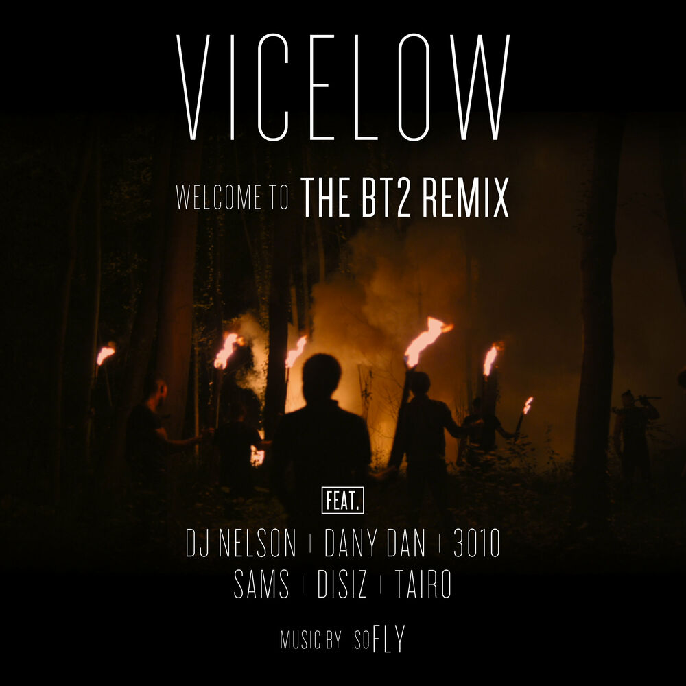 Picture of Welcome to the BT2 Remix (feat. Dany Dan, 3010, Sams, Disiz, Taïro & Dj Nelson) - Single