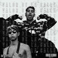 Cover of Valor de la Calle
