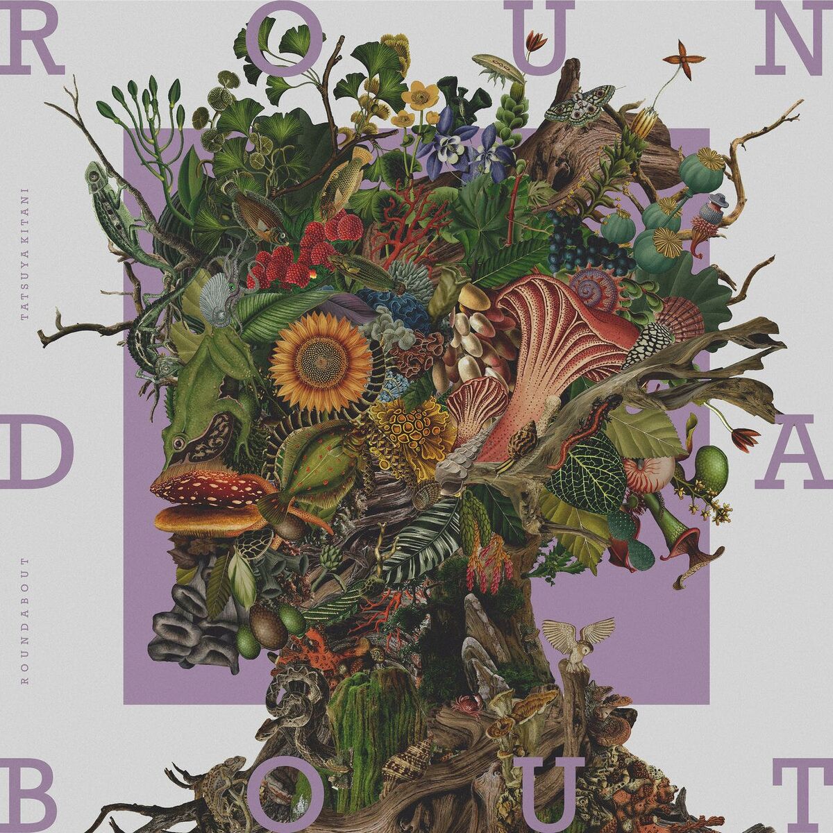 Album cover of ROUNDABOUT