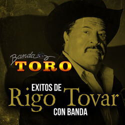 Cover of Exitos de Rigo Tovar Con Banda