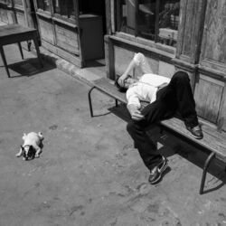 Cover of Garbage Dog