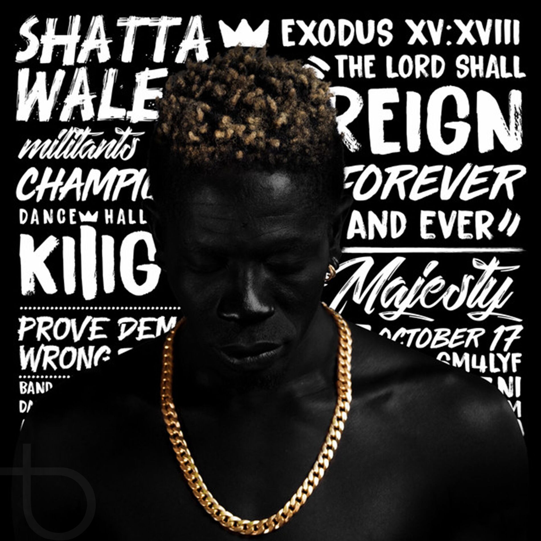 Album cover of Reign