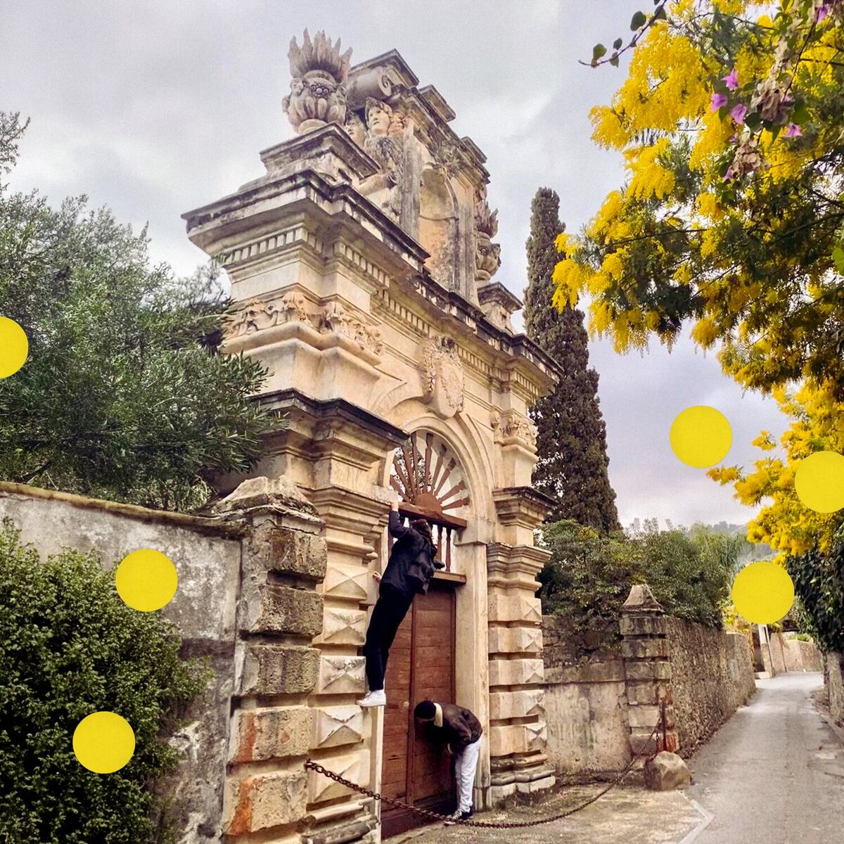 Album picture of Mimose