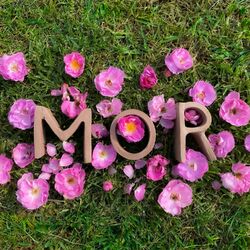 Cover of MOR