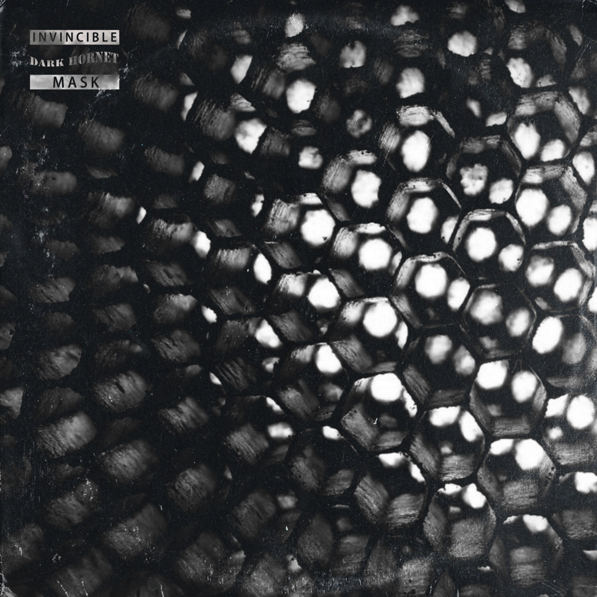 Album cover of Dark Hornet