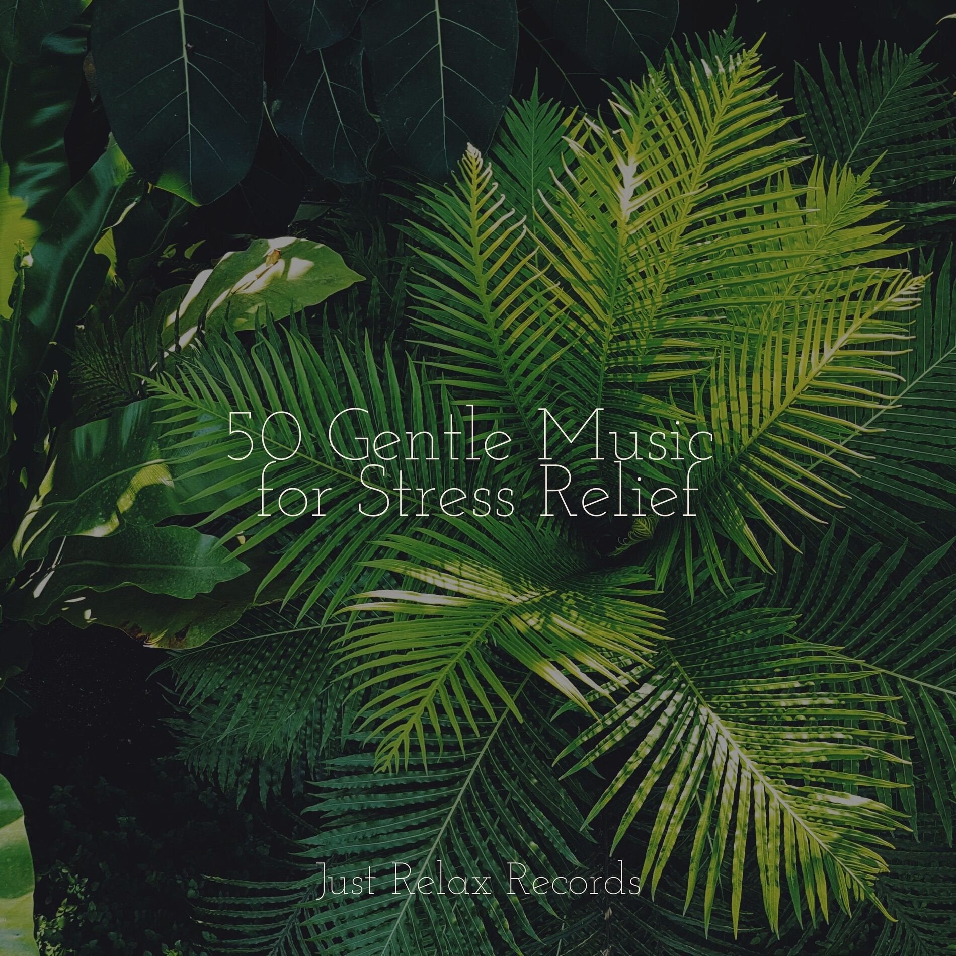 Album cover of 50 Gentle Music for Stress Relief