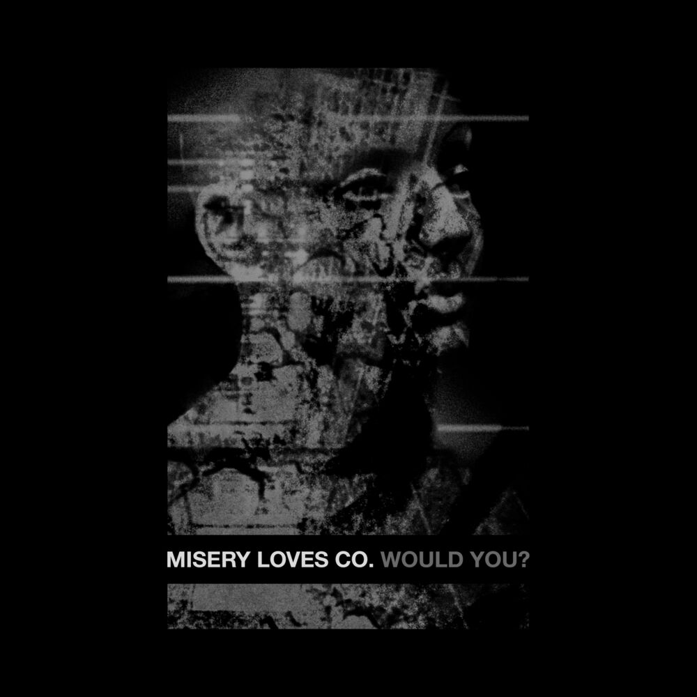 Picture of Would You?