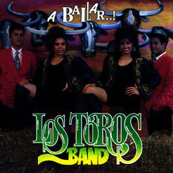 Cover of A Bailar