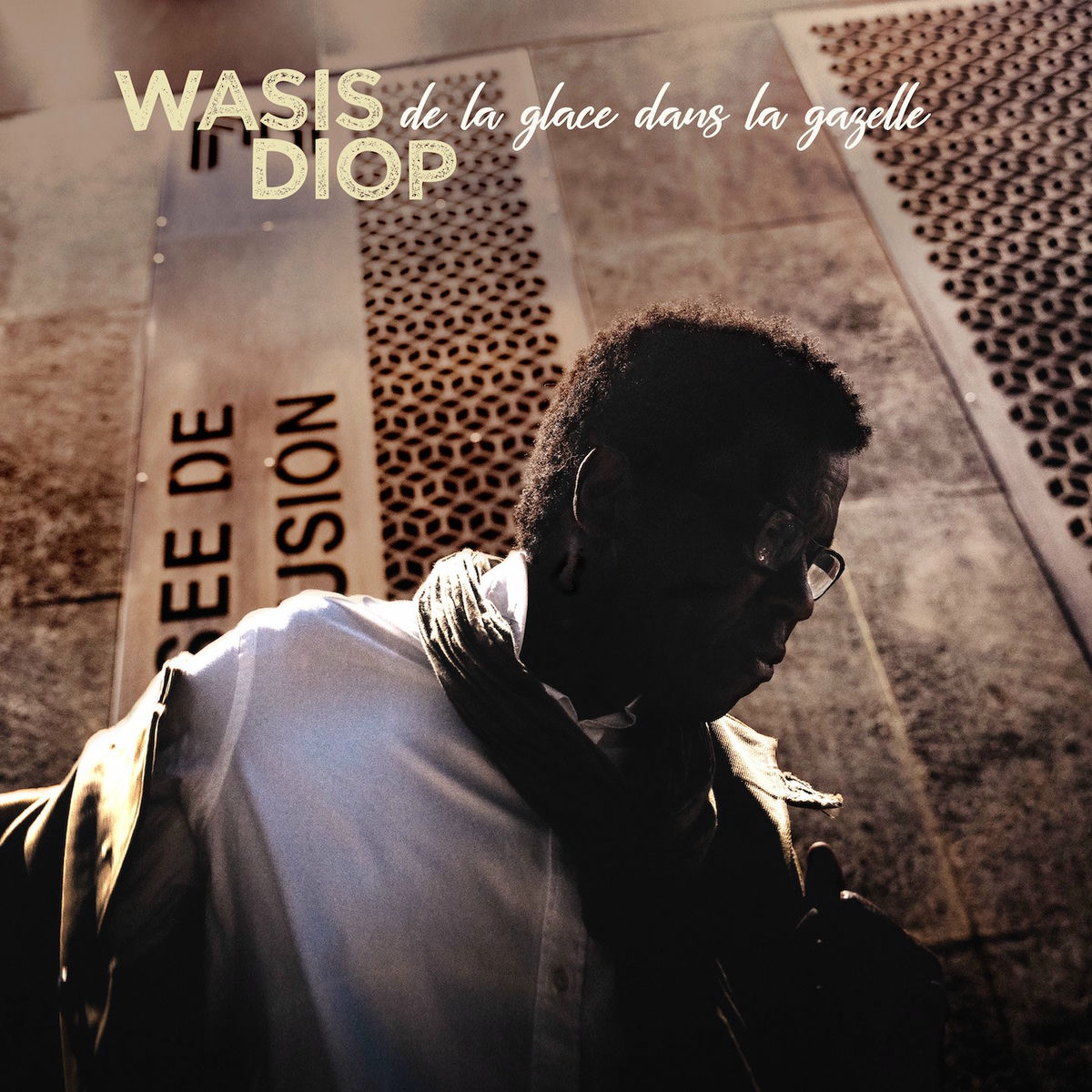 Album cover of De la glace dans la gazelle