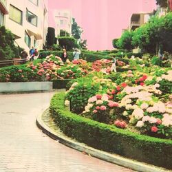 Cover of Idiosyncracies