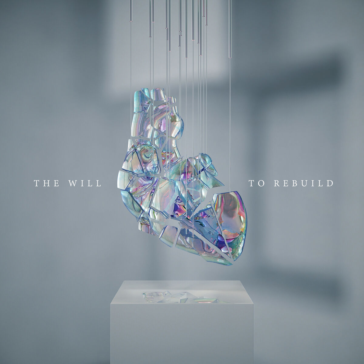 Album cover of The Will to Rebuild