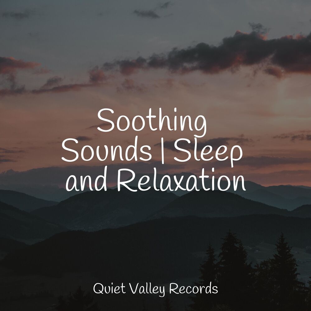 Picture of Soothing Sounds | Sleep and Relaxation