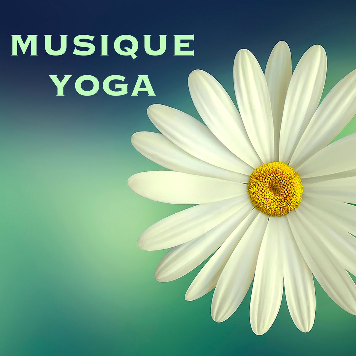 Album cover of Musique Yoga - Musique Méditation pour Cours de Yoga, le Soufisme et Purification de l'Âme