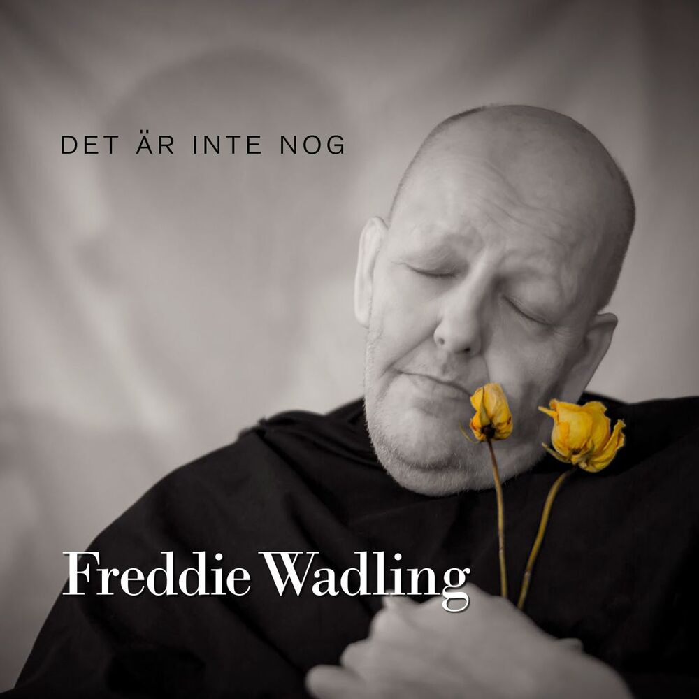 Picture of Det är inte nog