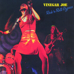 Cover of Rock `N' Roll Gypsies