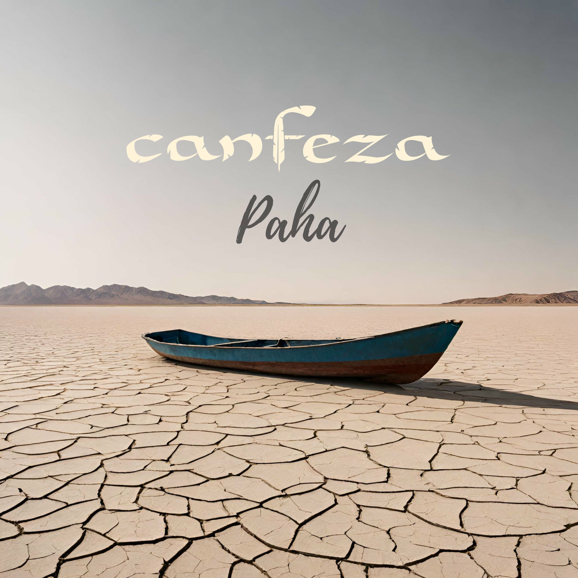 Album cover of Paha