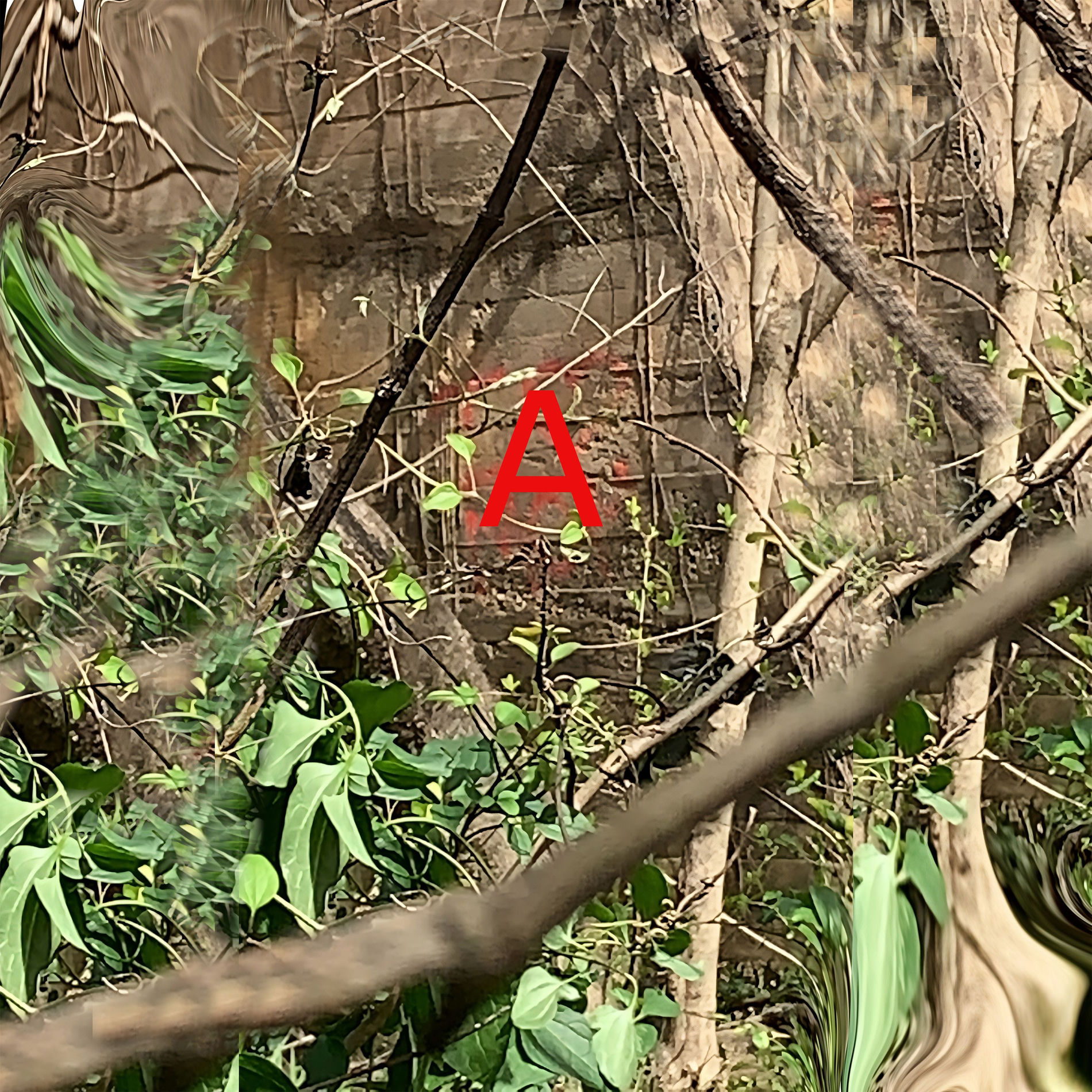 Album cover of person A