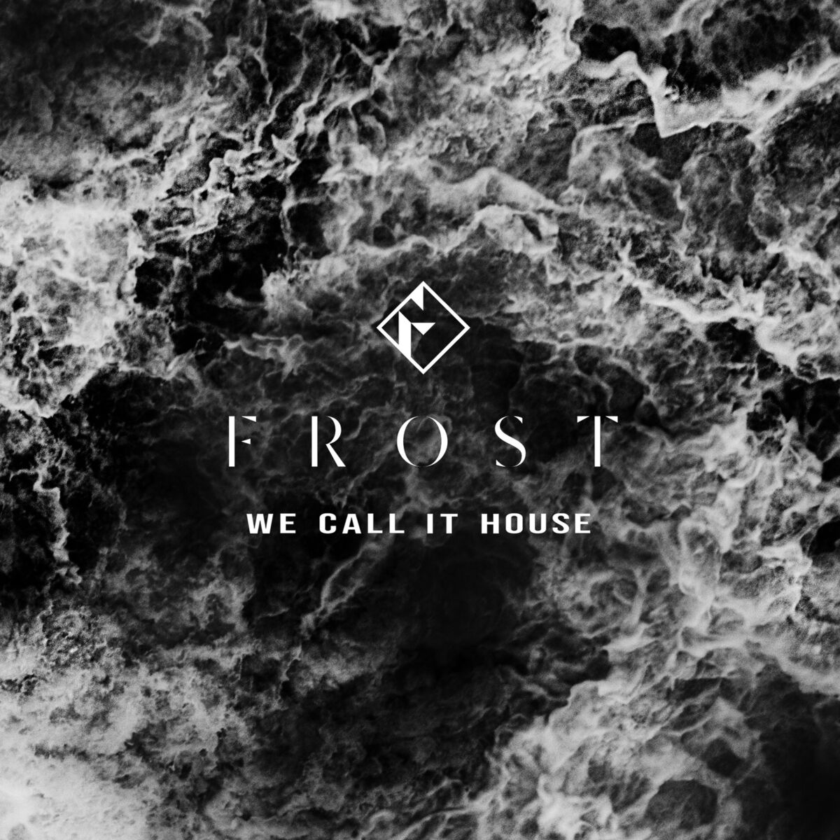 Album cover of We Call It House