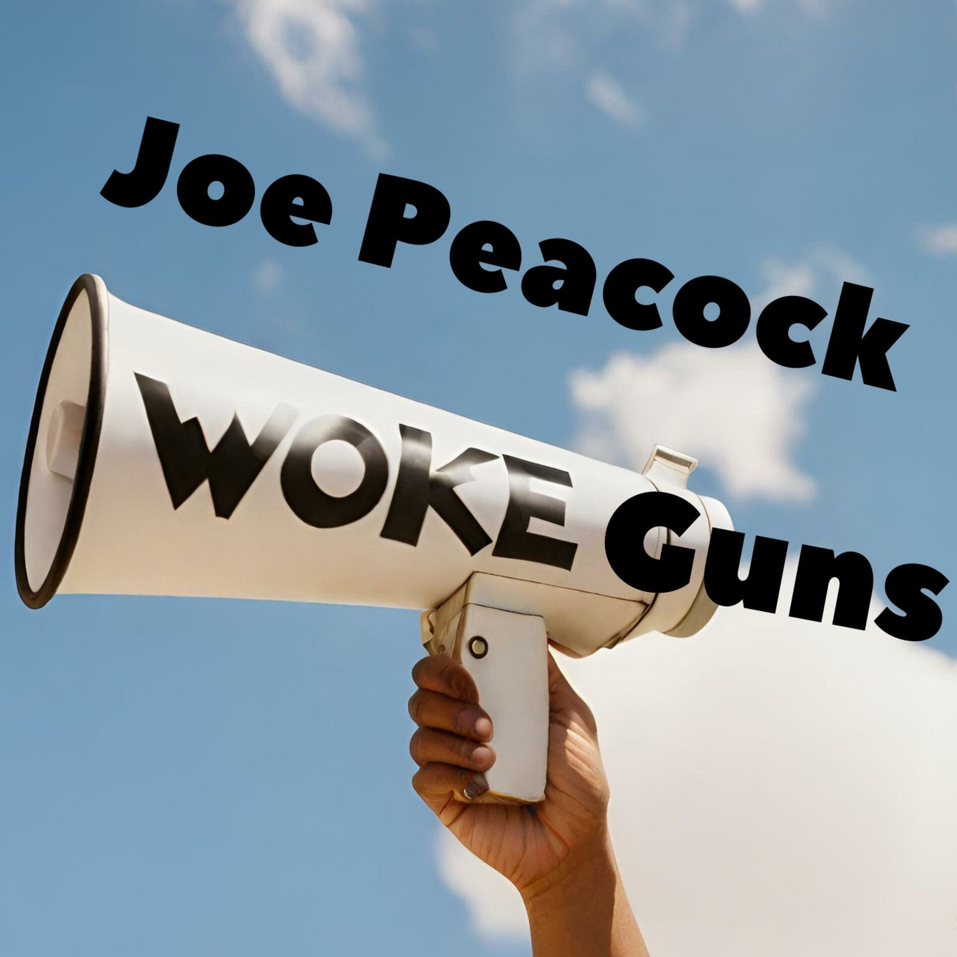 Album cover of Woke Guns