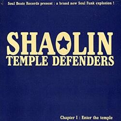 Cover of Enter the Temple