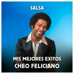 Cover of Salsa - Mis Mejores Exitos