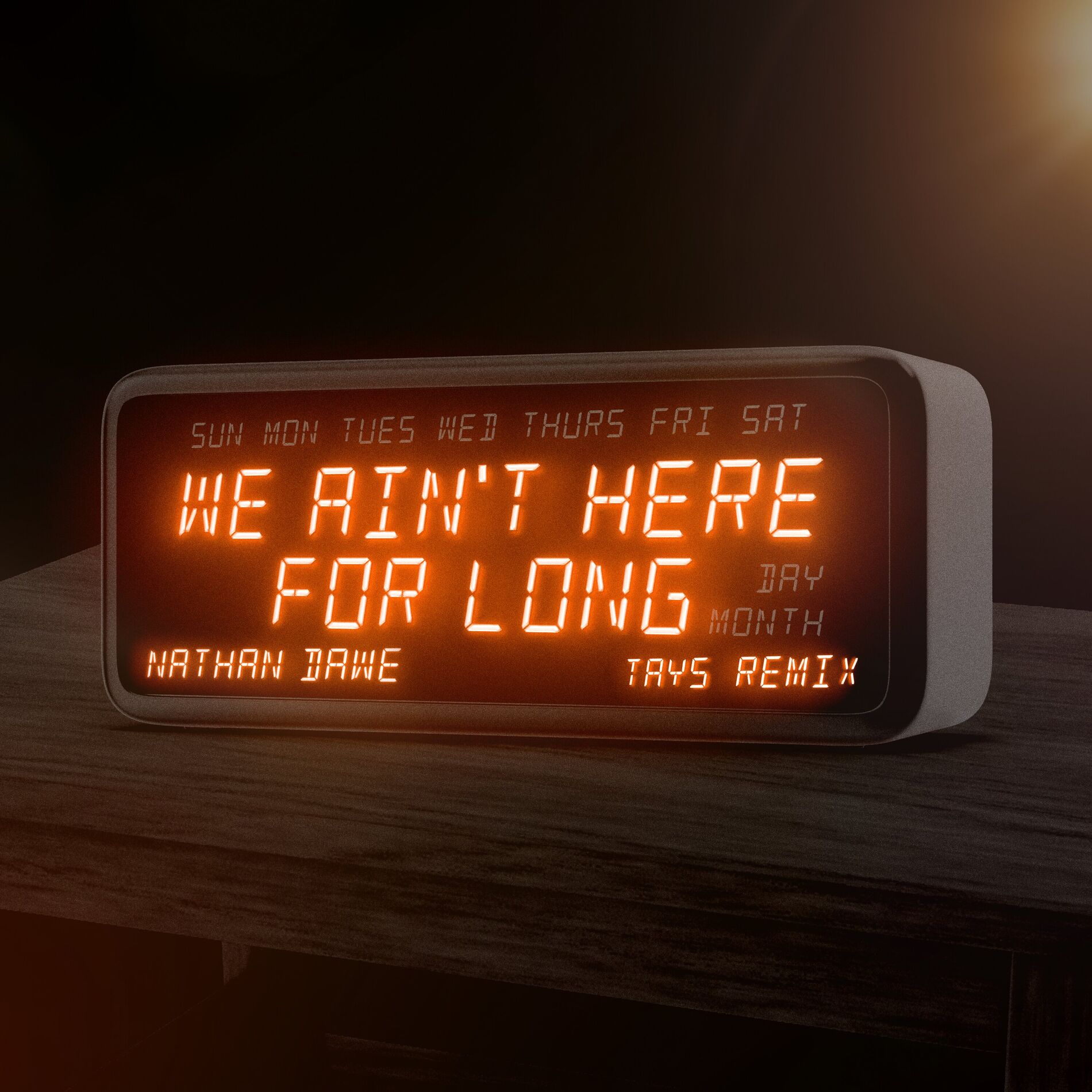 Album cover of We Ain't Here For Long