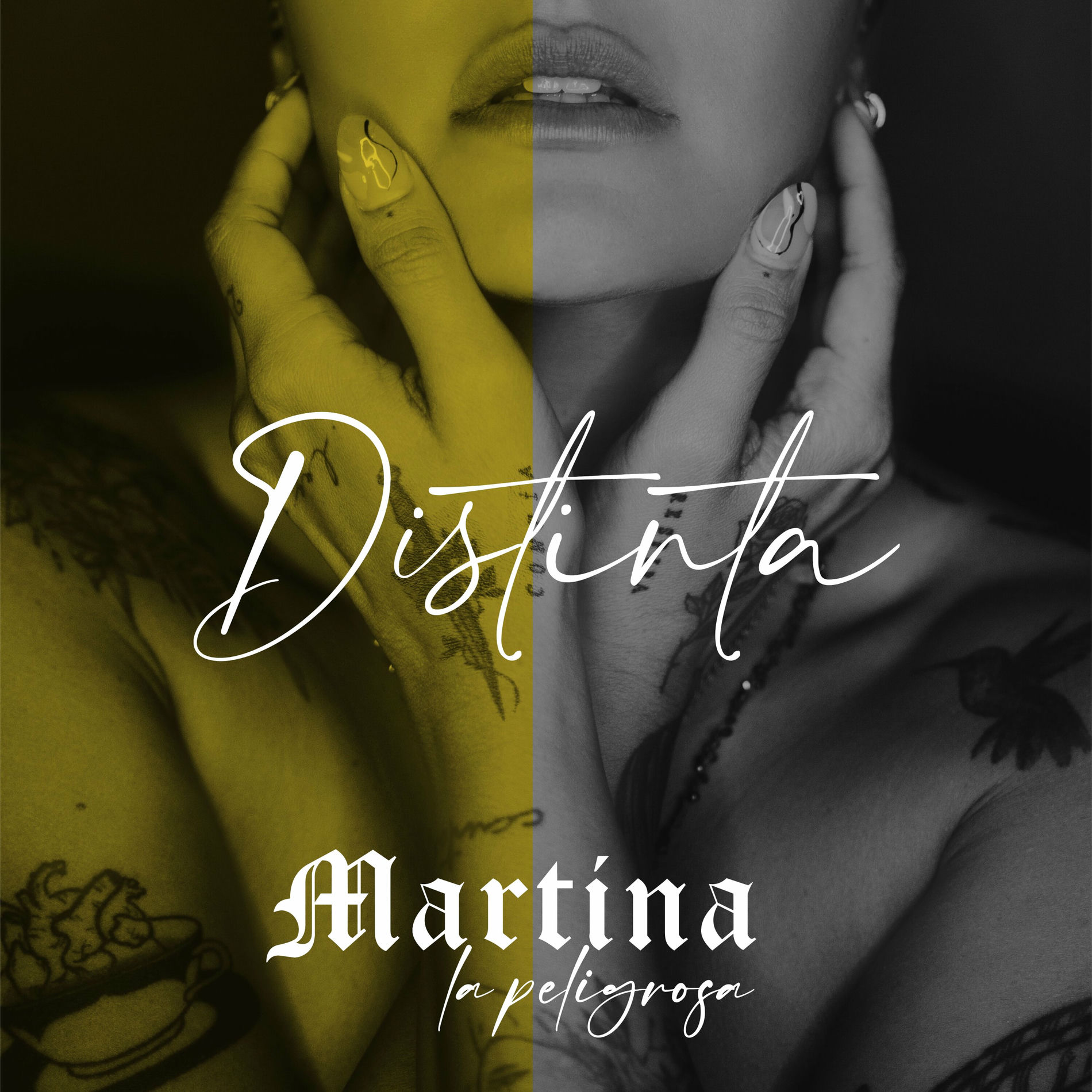 Album cover of Distinta